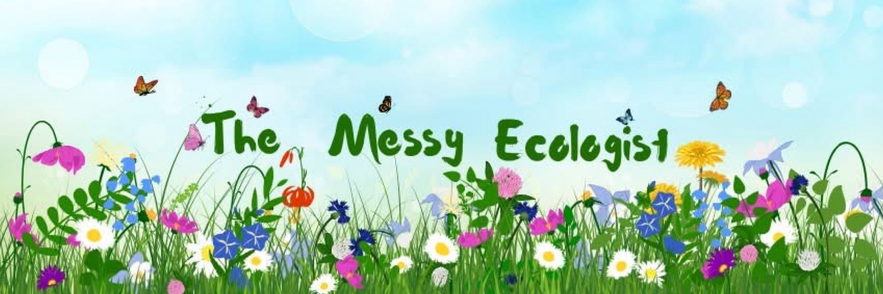 The Messy Ecologist