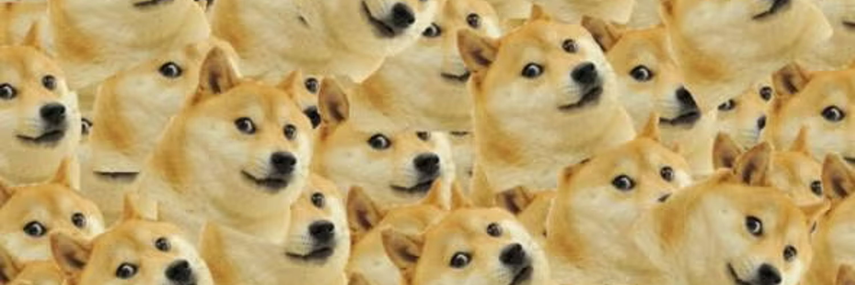 Dogey