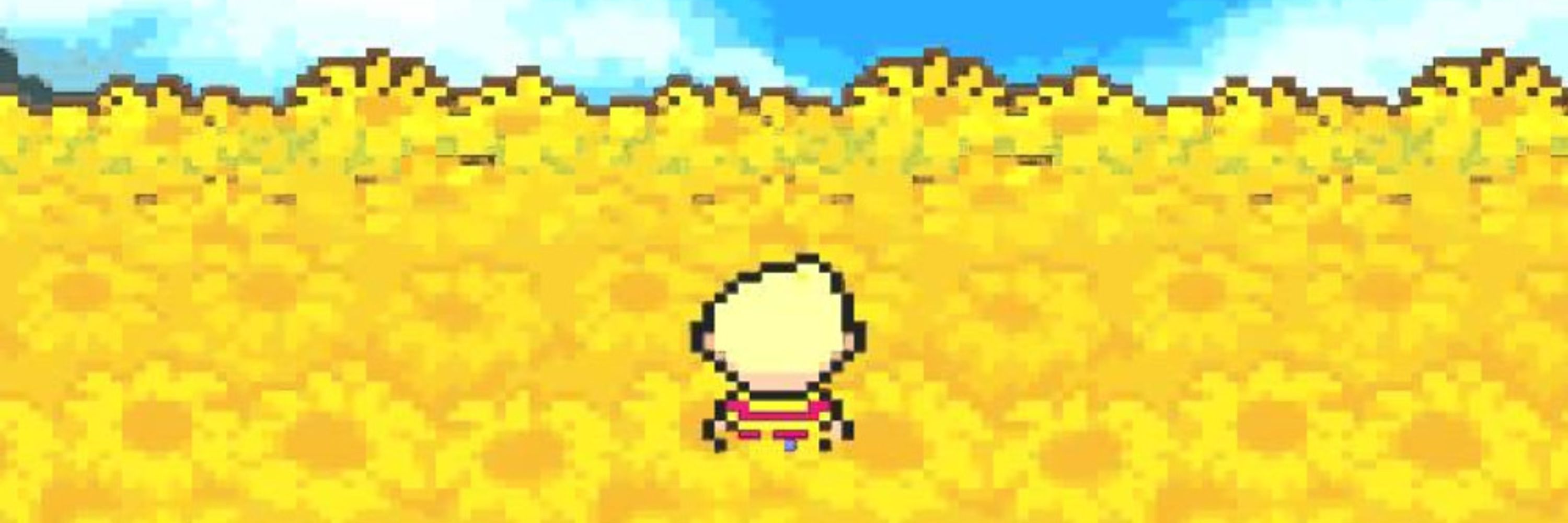Sunflower Satellite