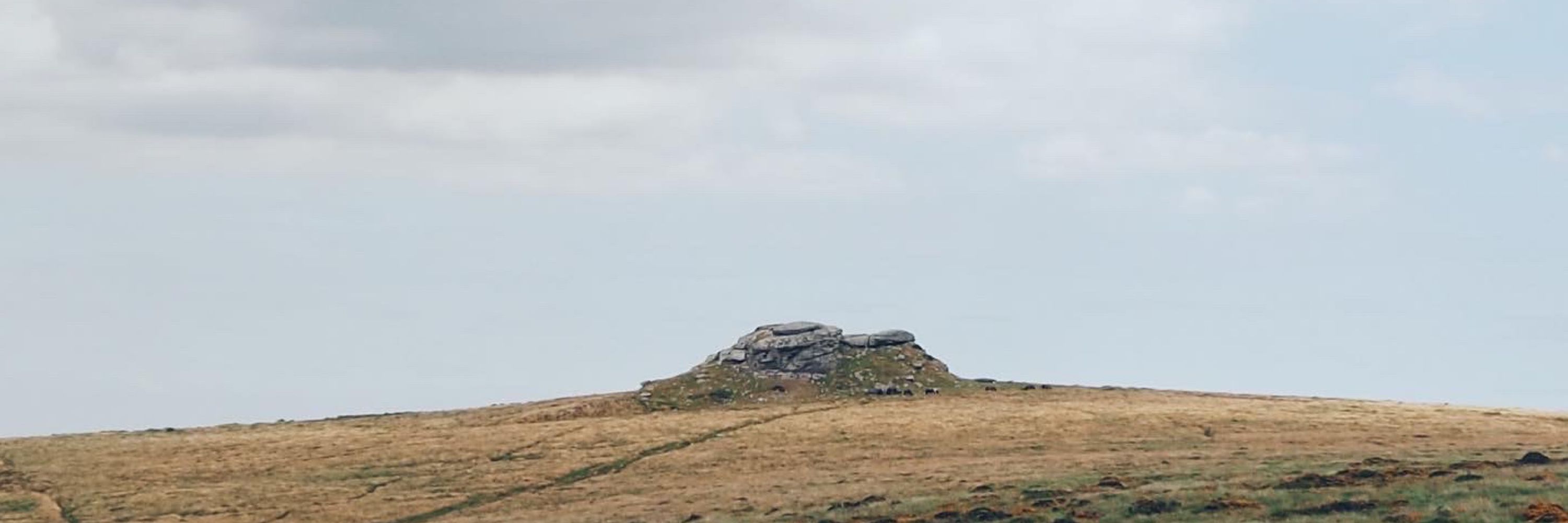 Bryonie on Dartmoor