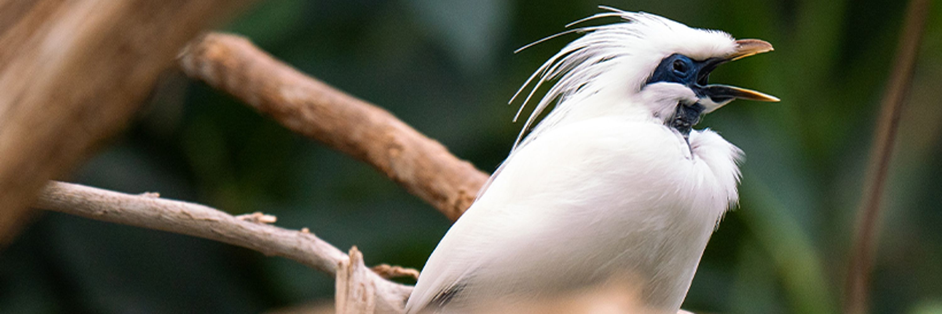 Columbus Zoo and Aquarium
