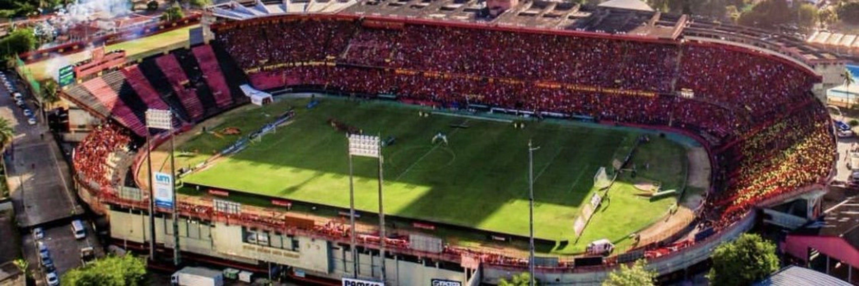 Flávio Fernandes 