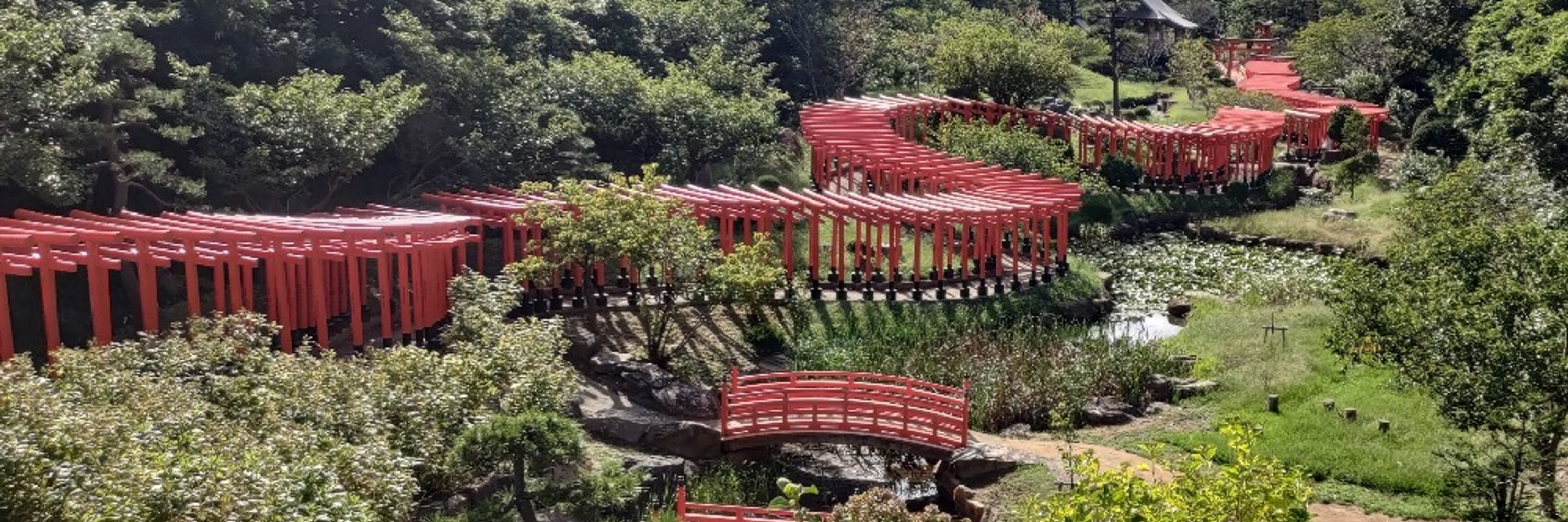 Lei