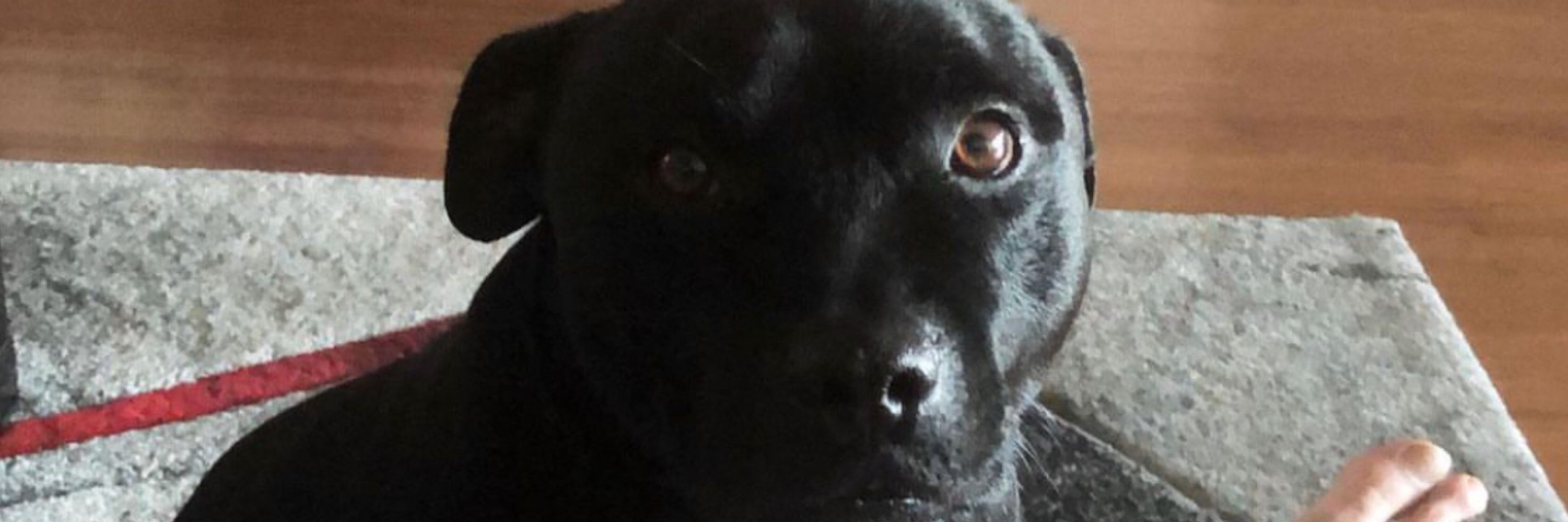 BennY
