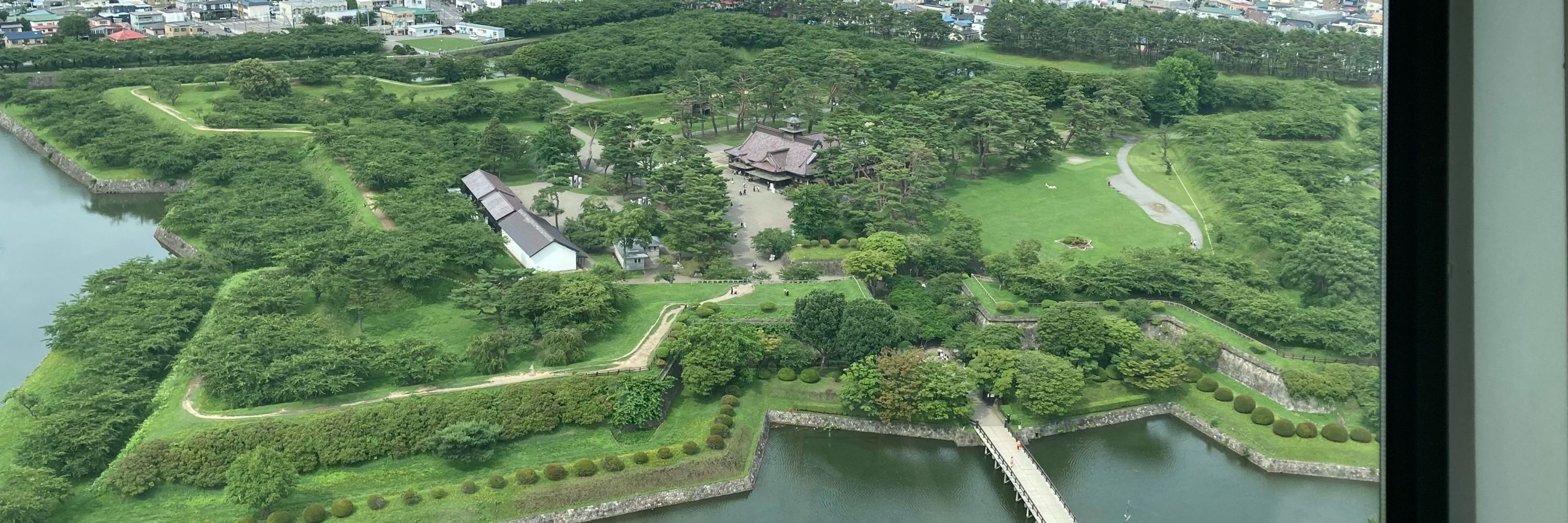 ラッタトゥーユー