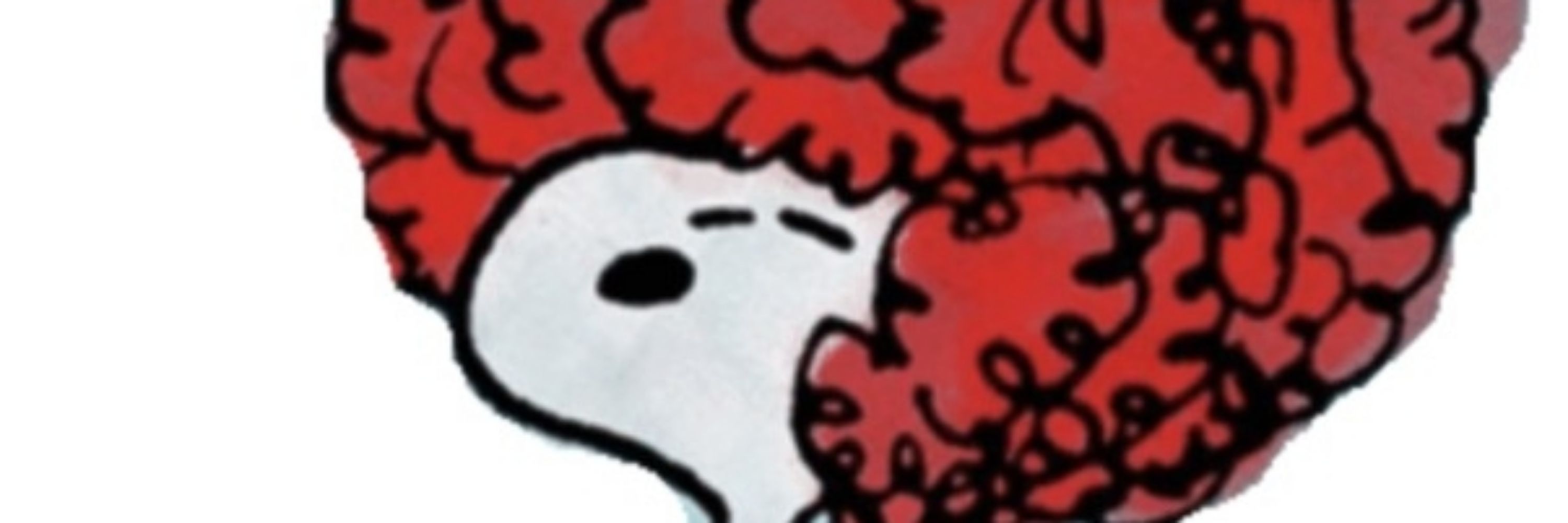 AfroBeagle
