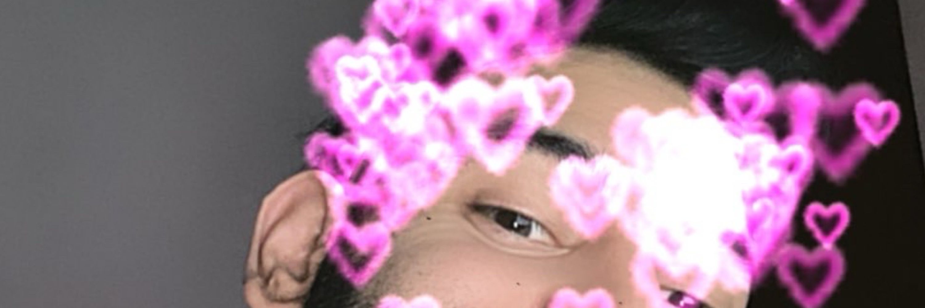 holluiswood