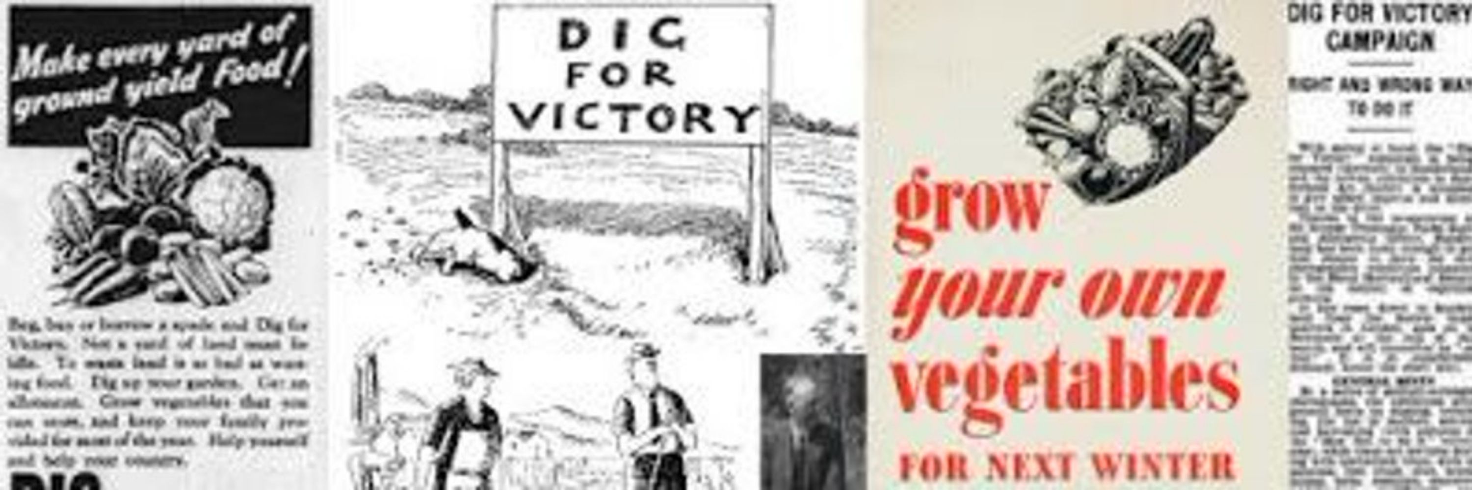DigForVictory.org.uk