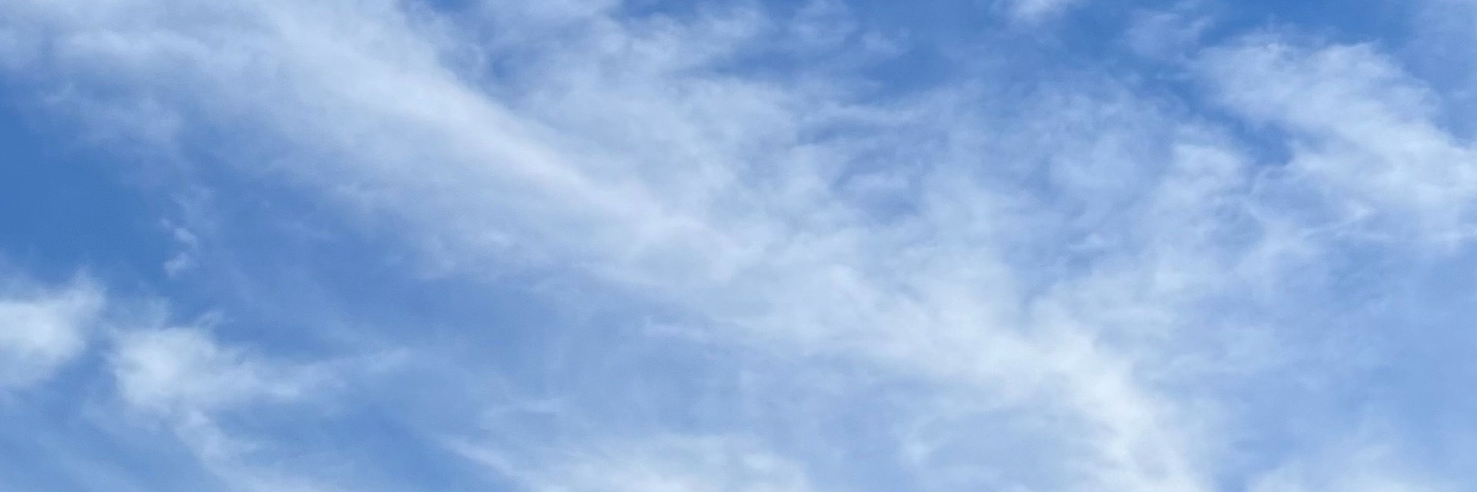かりめろりん