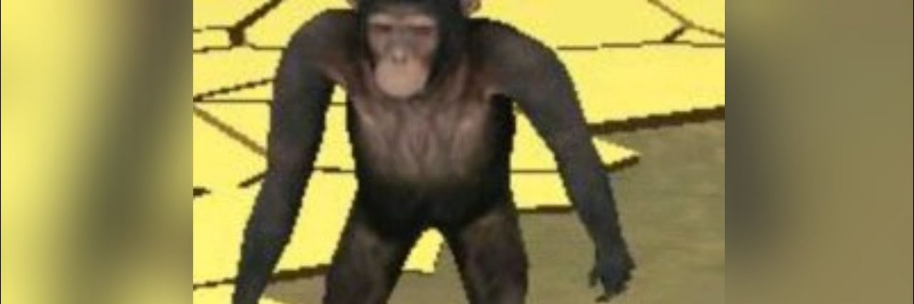 Maco
