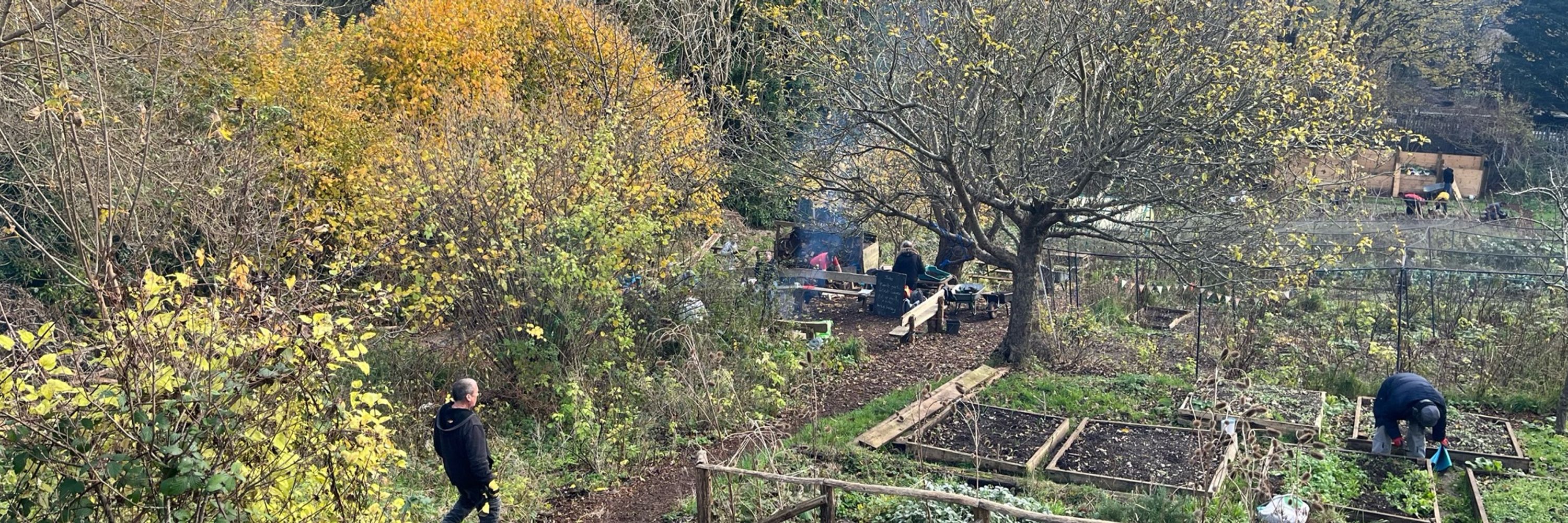 Moulsecoomb Forest Garden & Wildlife Project