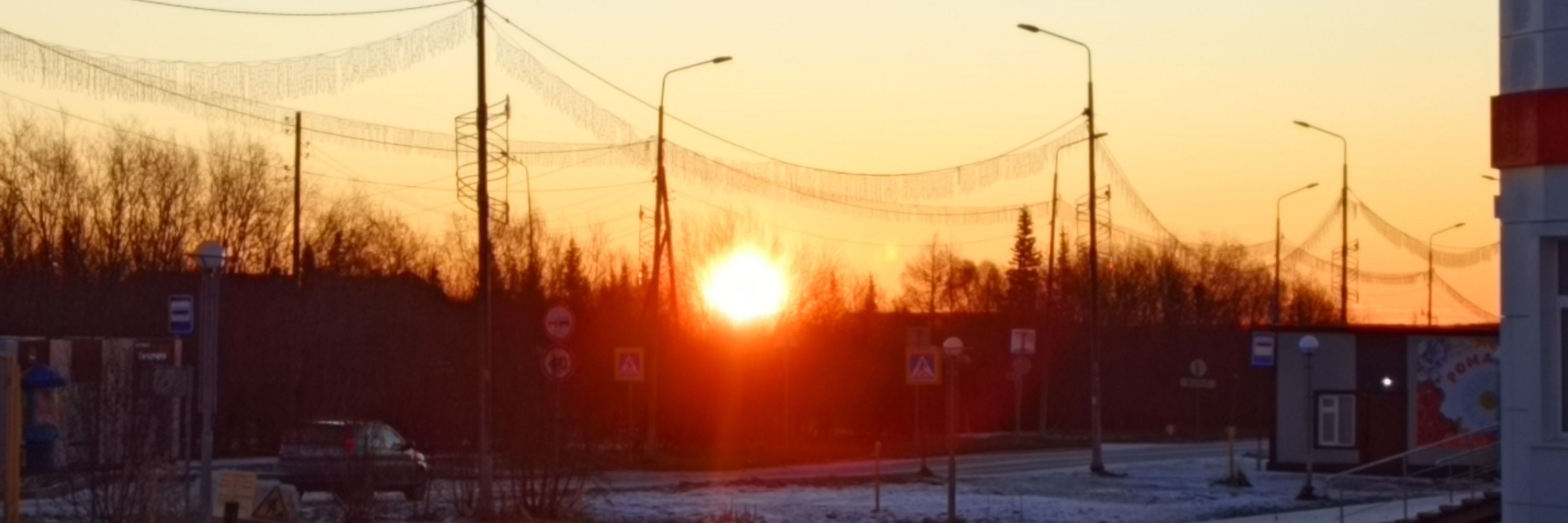 ~Лейла~