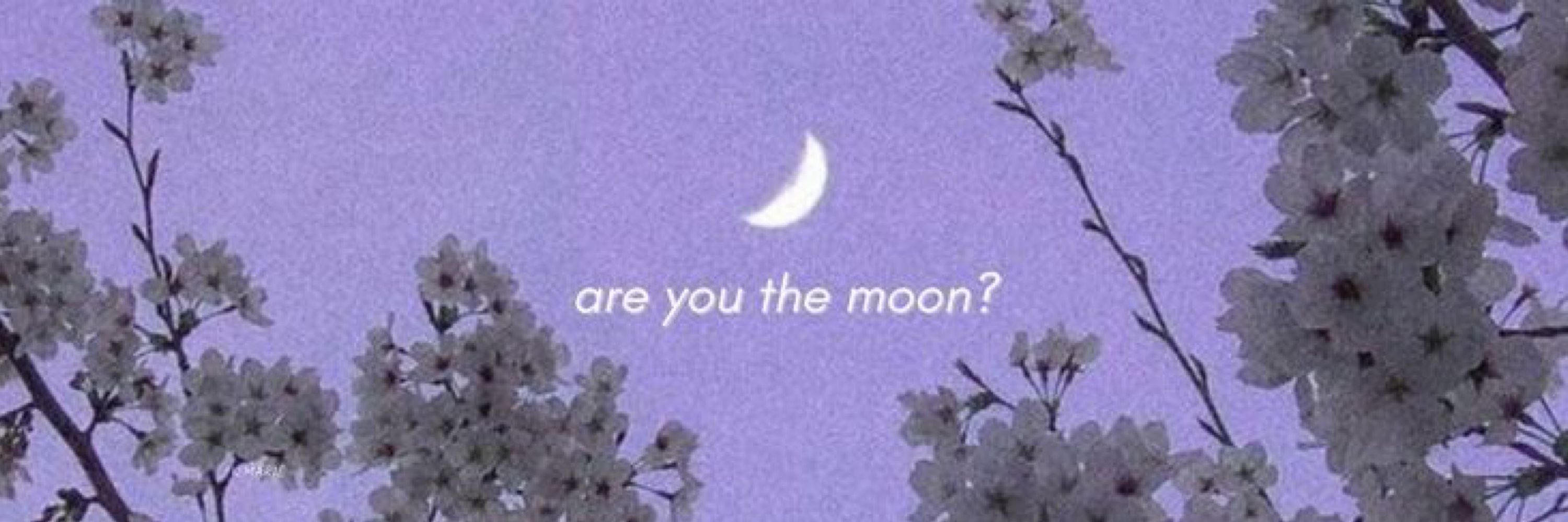 ᴜɪᴋᴀ ⋆˙⟡