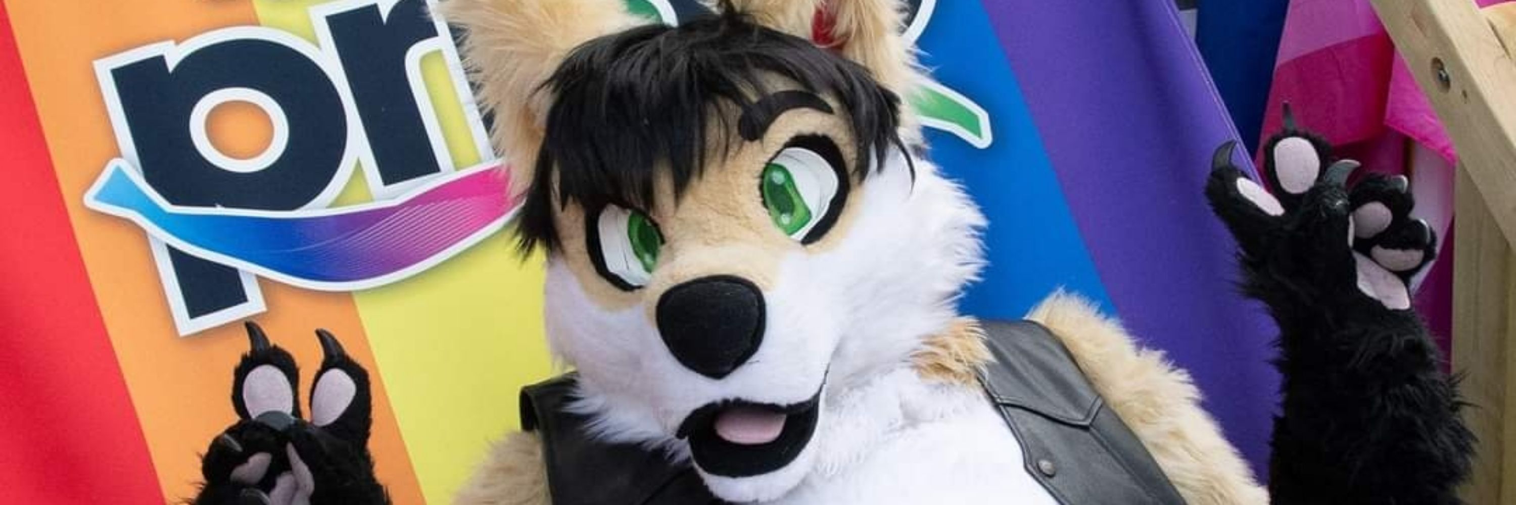 Jekiu fox 🦊