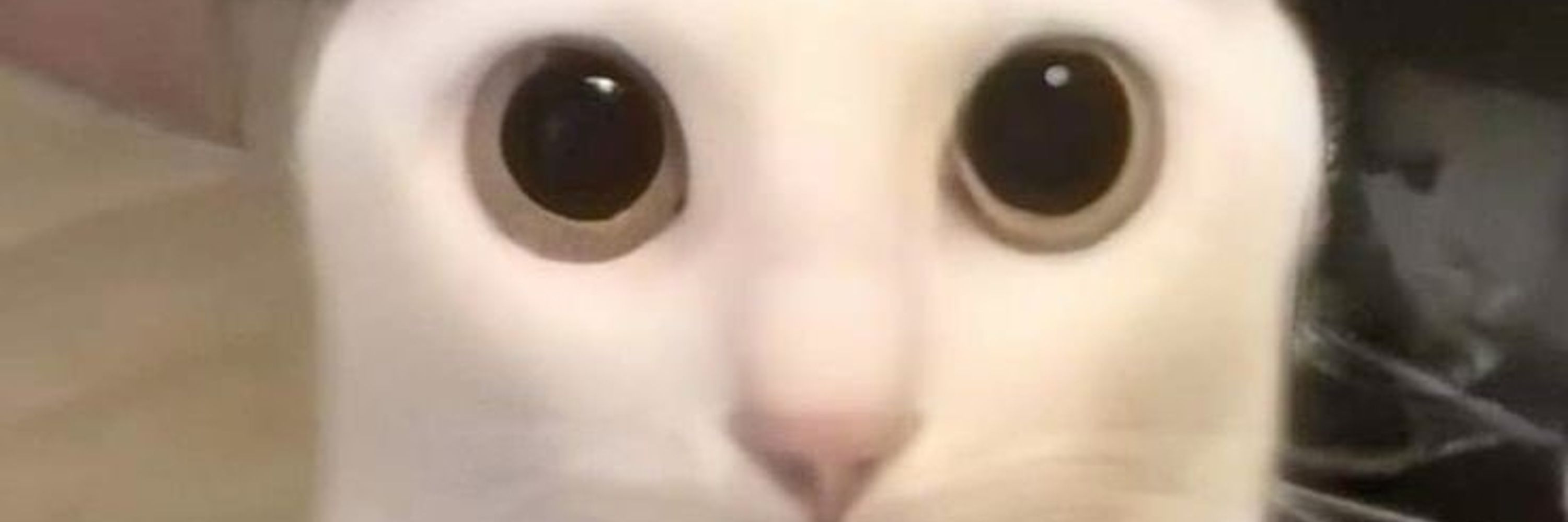 em