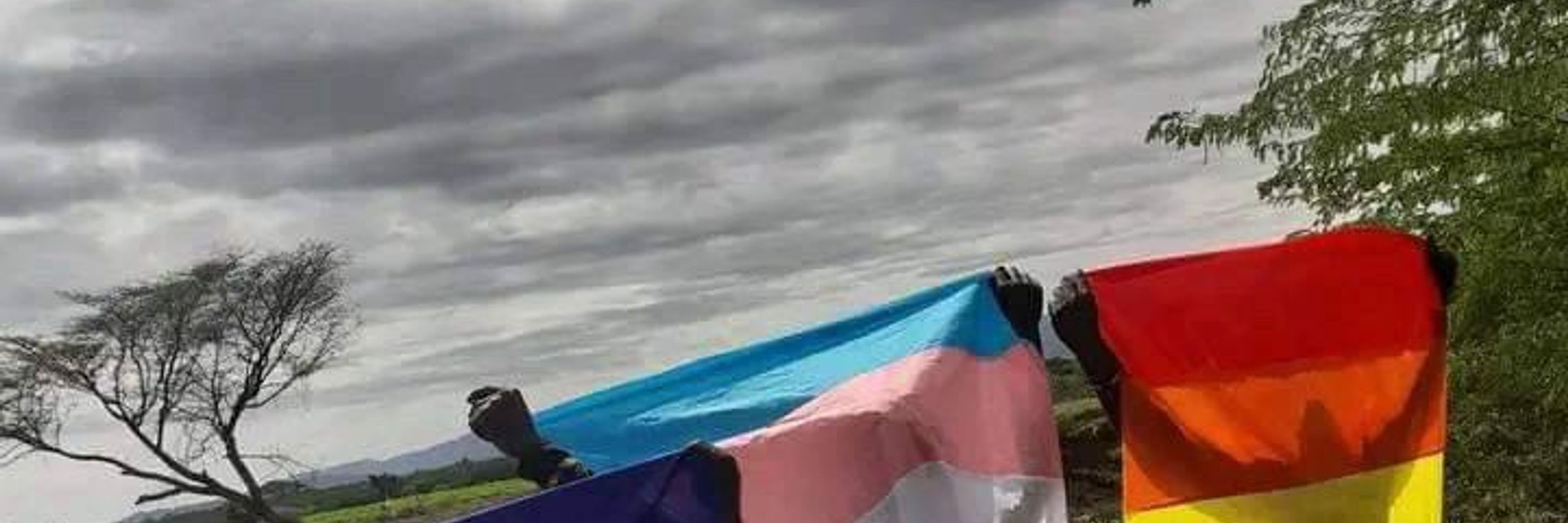 Mulinzi🏳️‍🌈