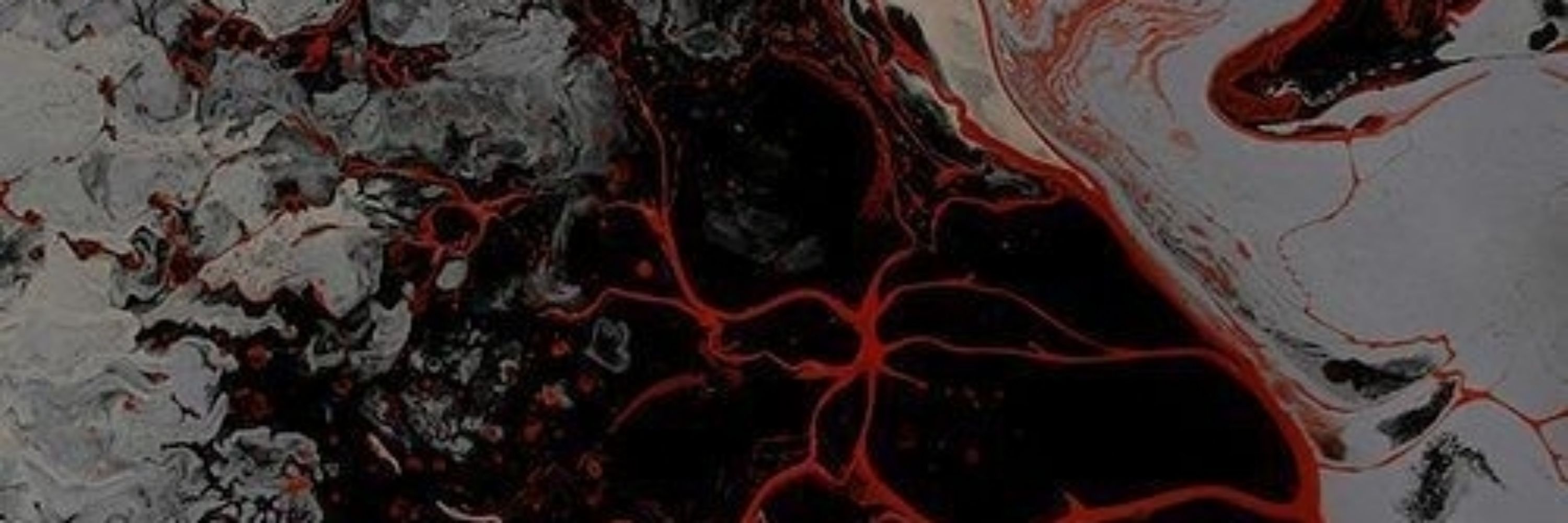 𝕺𝖕𝖍𝖊𝖑𝖎𝖆 '𝖘𝖍𝖆𝖉𝖊' 𝕬𝖒𝖇𝖊𝖗𝖜𝖔𝖔𝖉