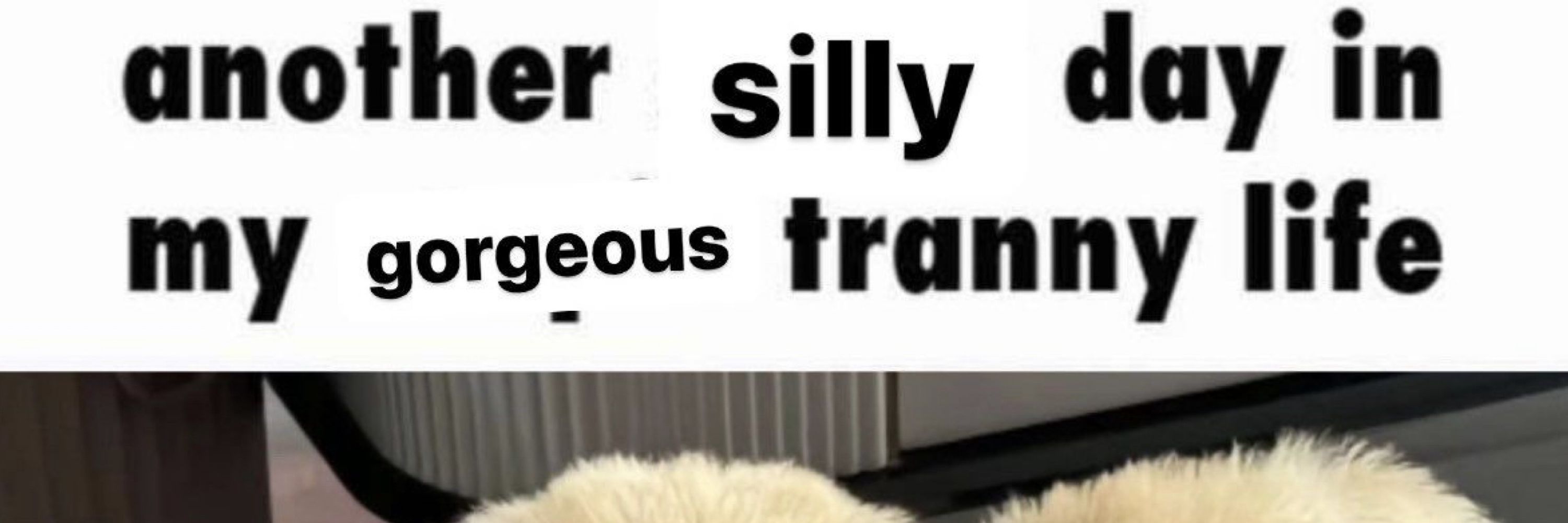 FemDogCel