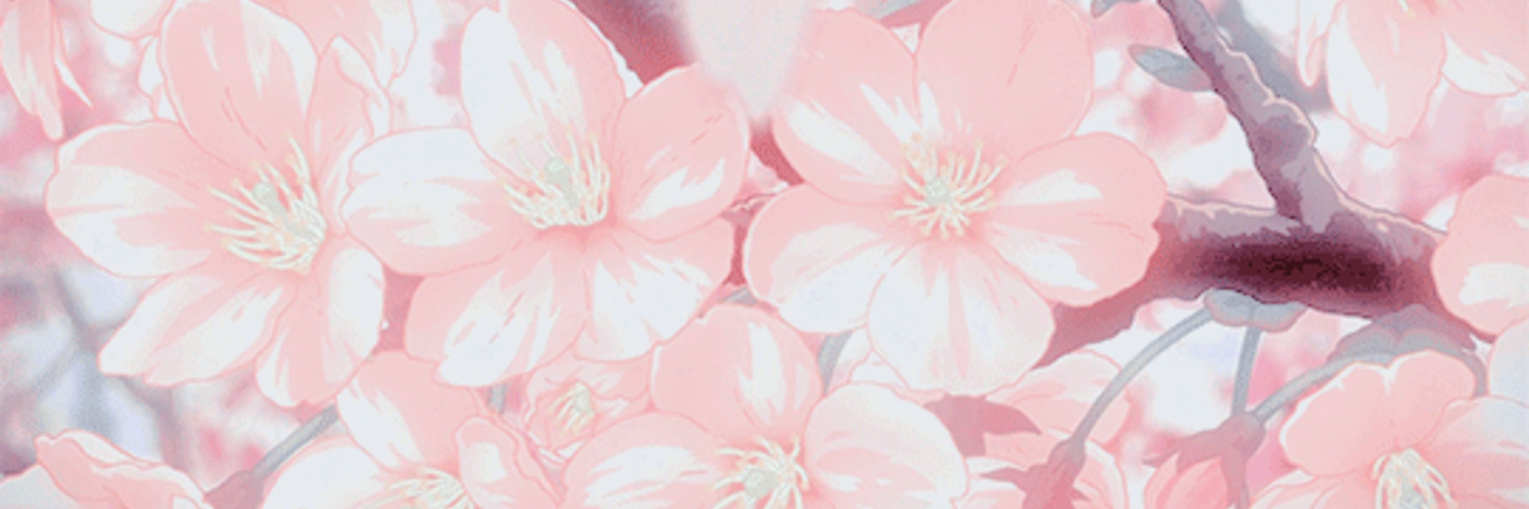 ✧ Charmi 🌸