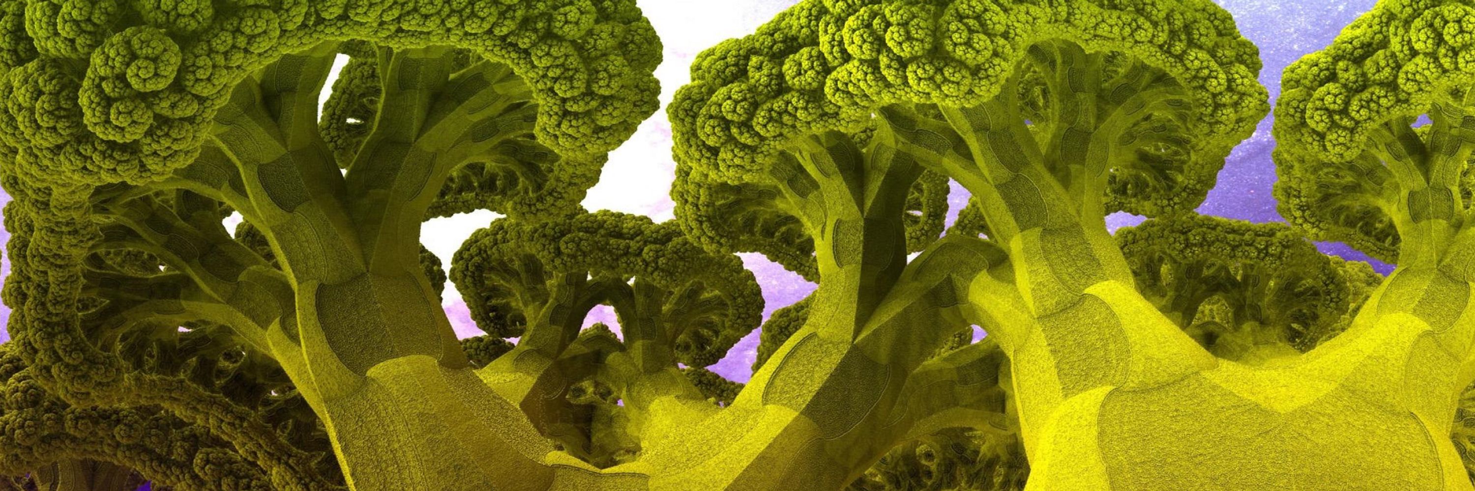 Head Of Broccoli (acting) 