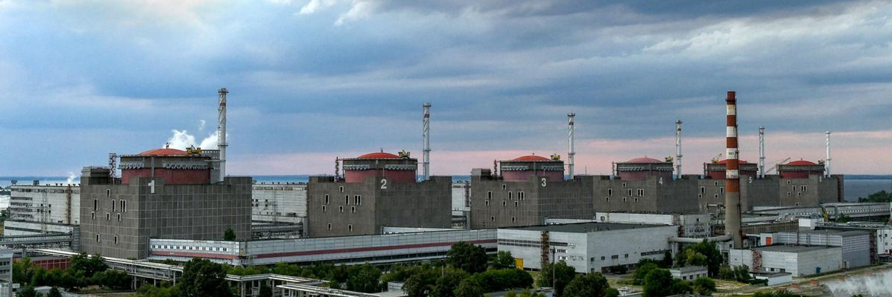 Nuclear Energy Fella