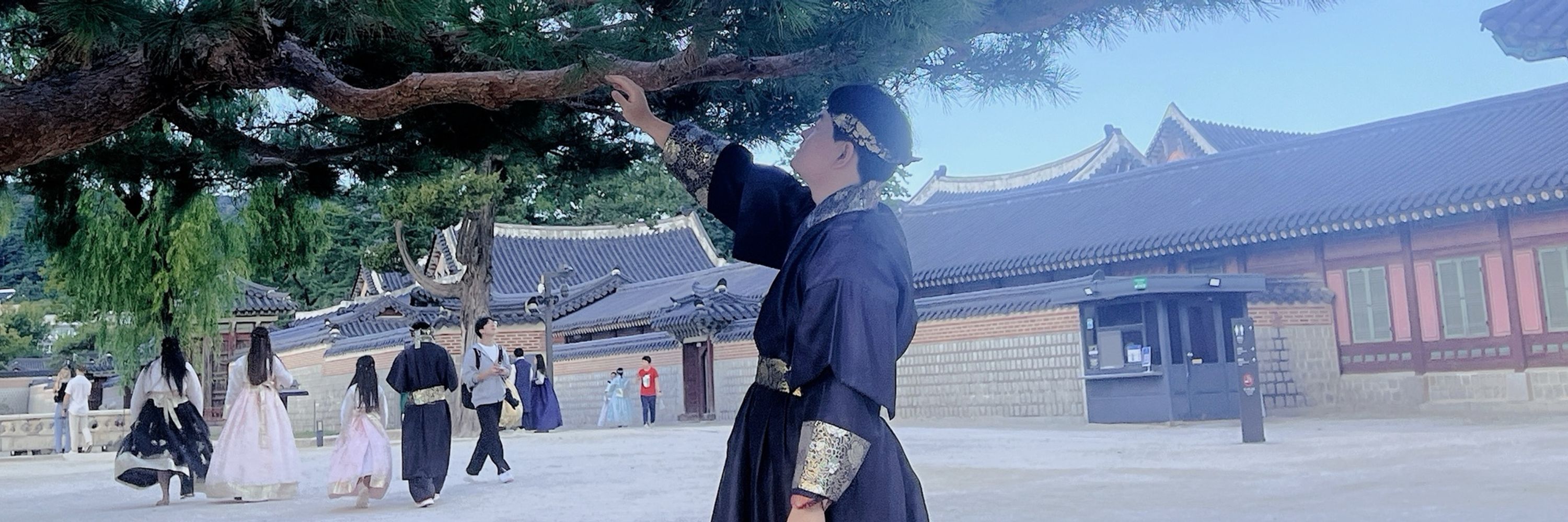 도도