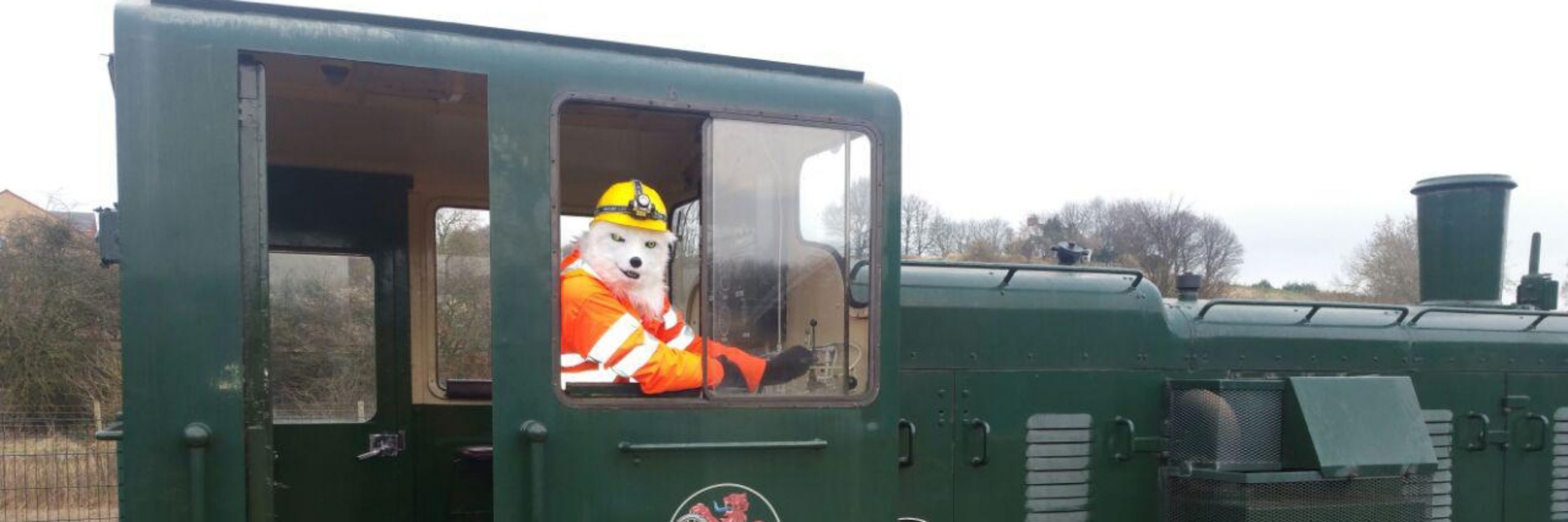 Foxrail 