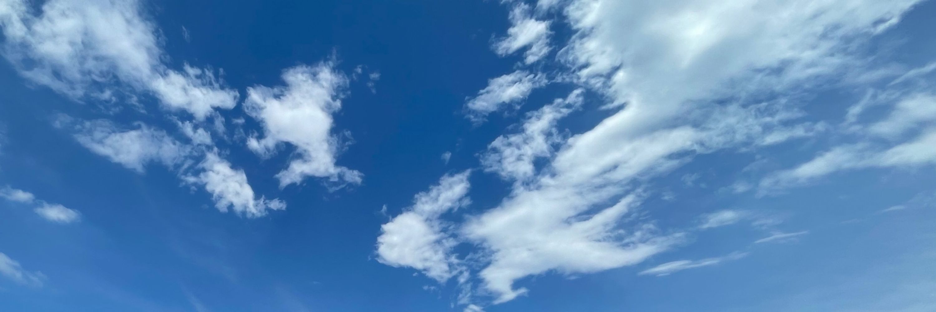 ねお