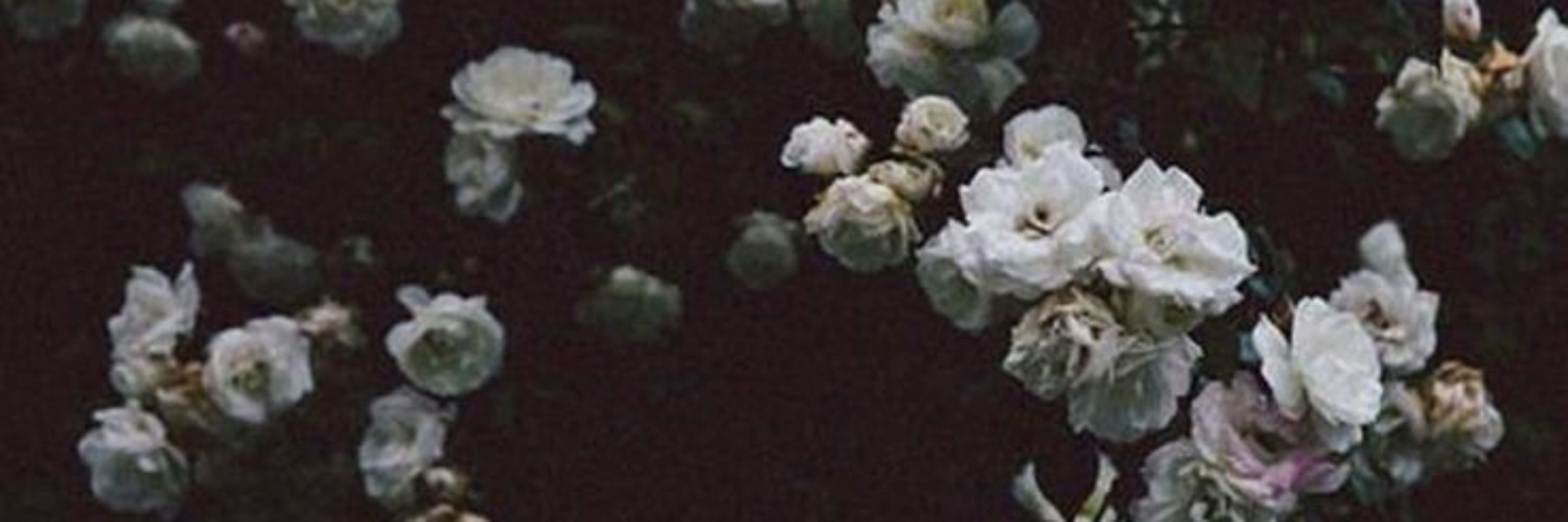 S. Moon