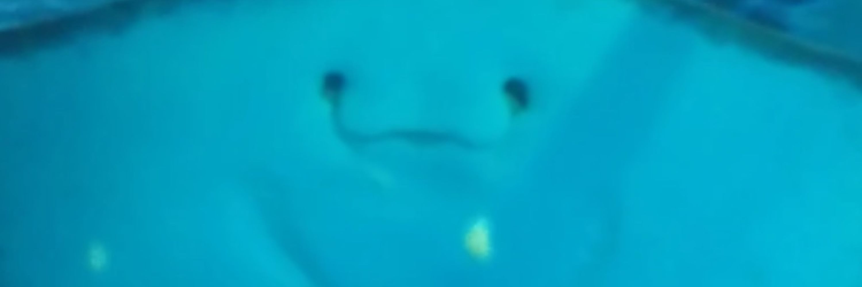 タブ槻
