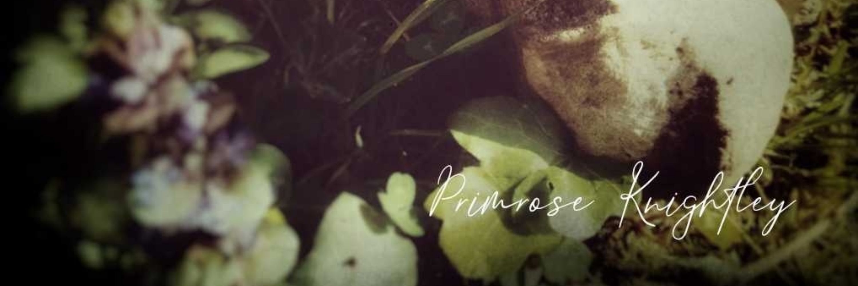 Primrose Knightley