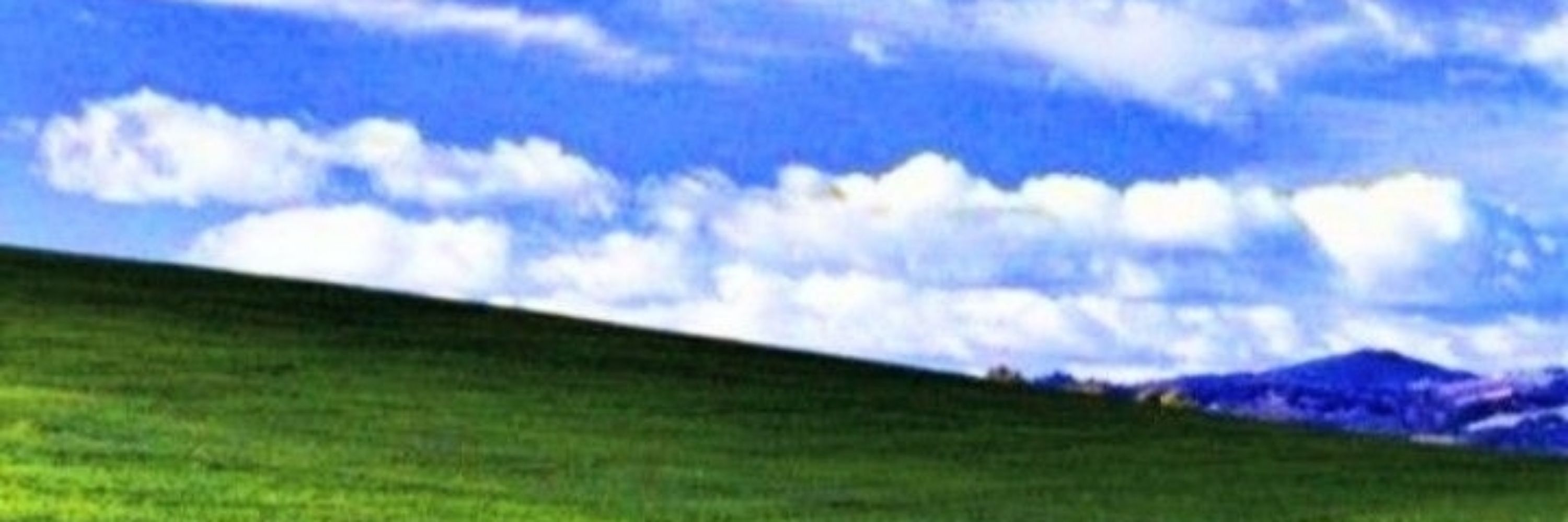 Midodori