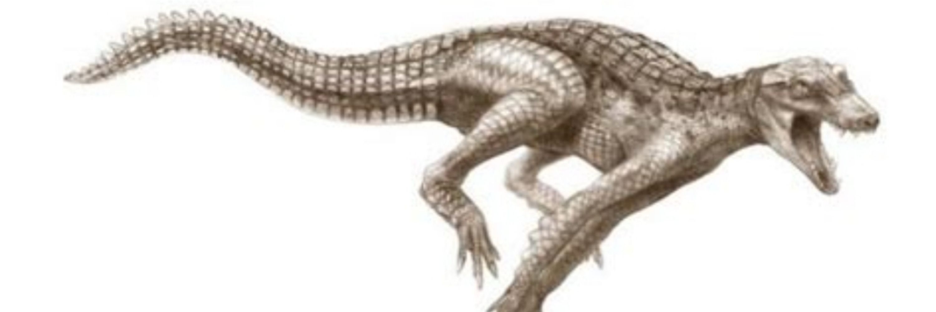 Xukas da Argonian 