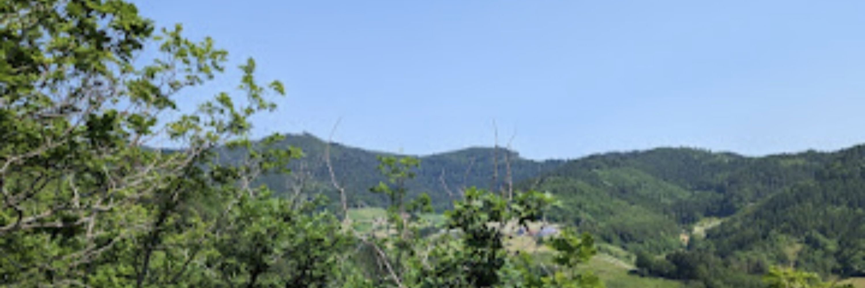 Michel R.