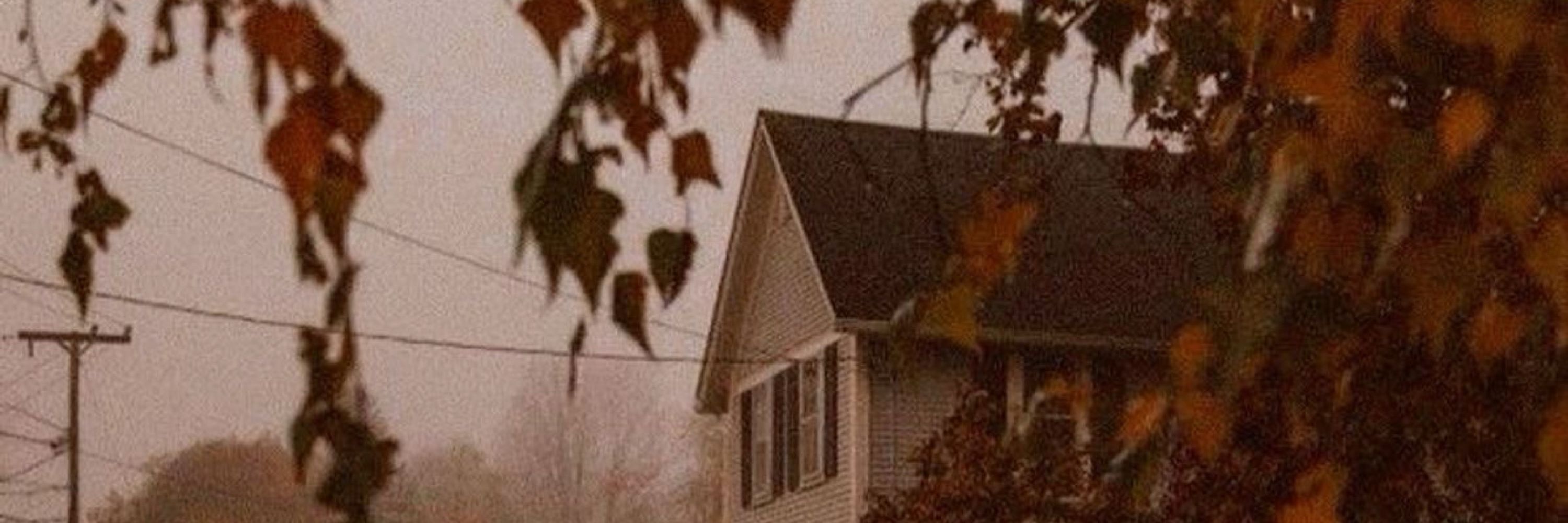 🍂🍁