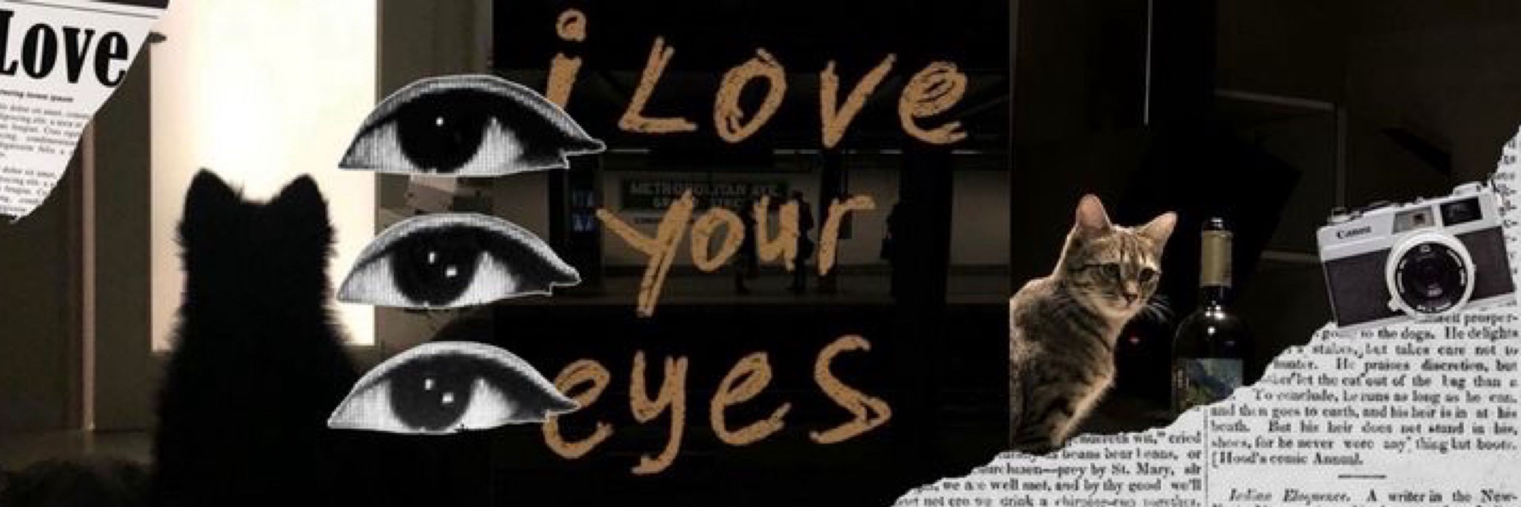 𝓓𝓲𝓲