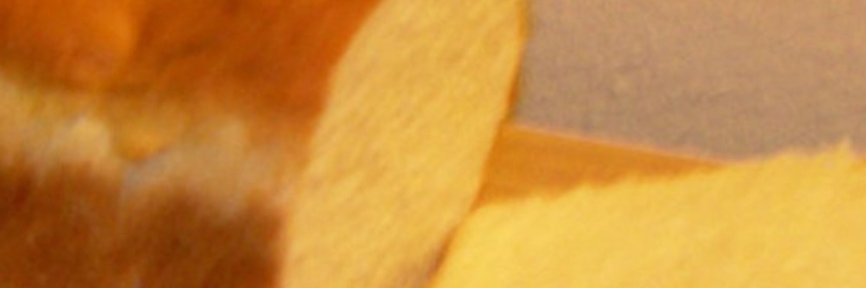 poco0317