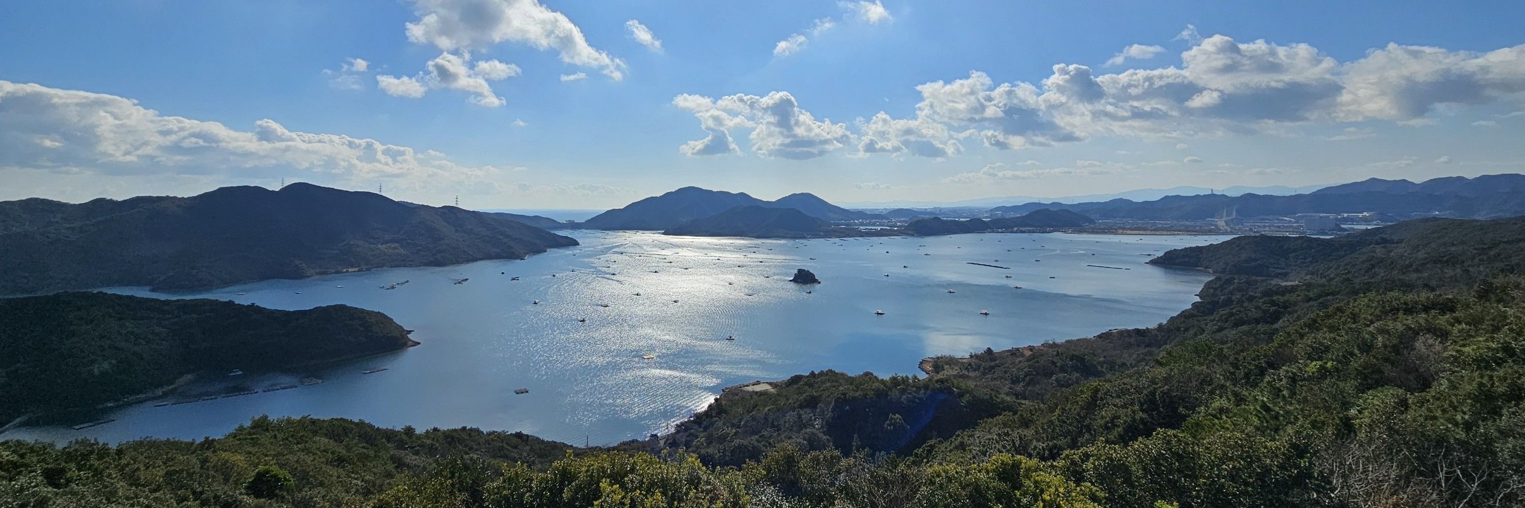 มะม่วง まむあん