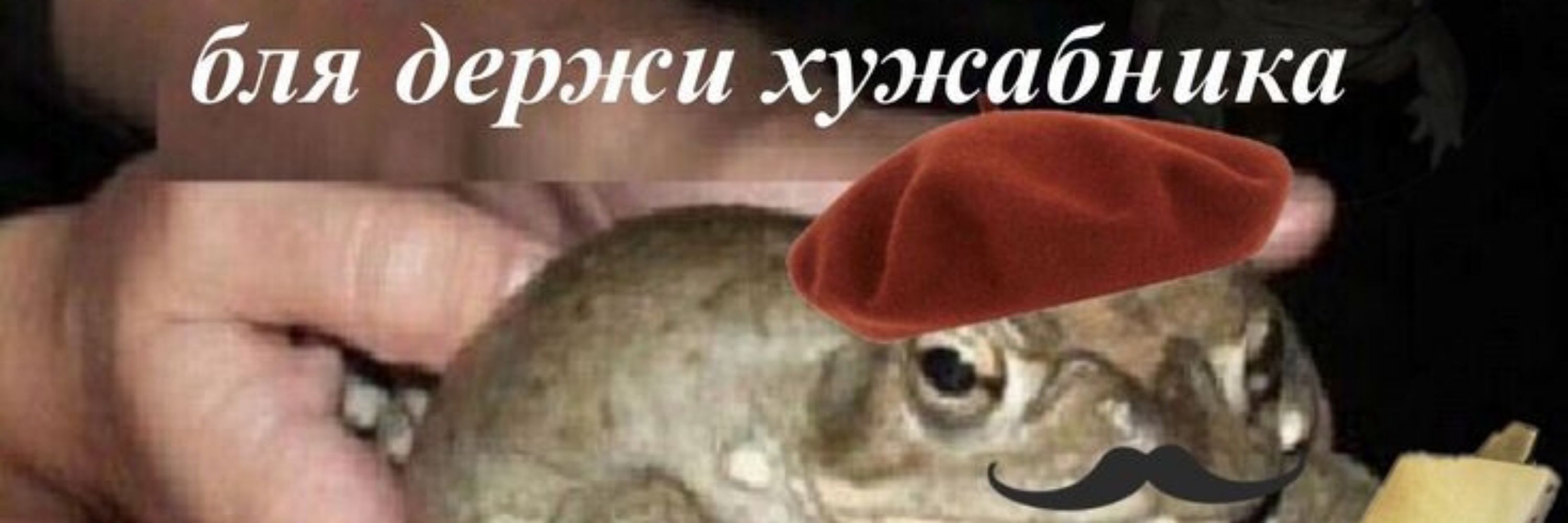 силва