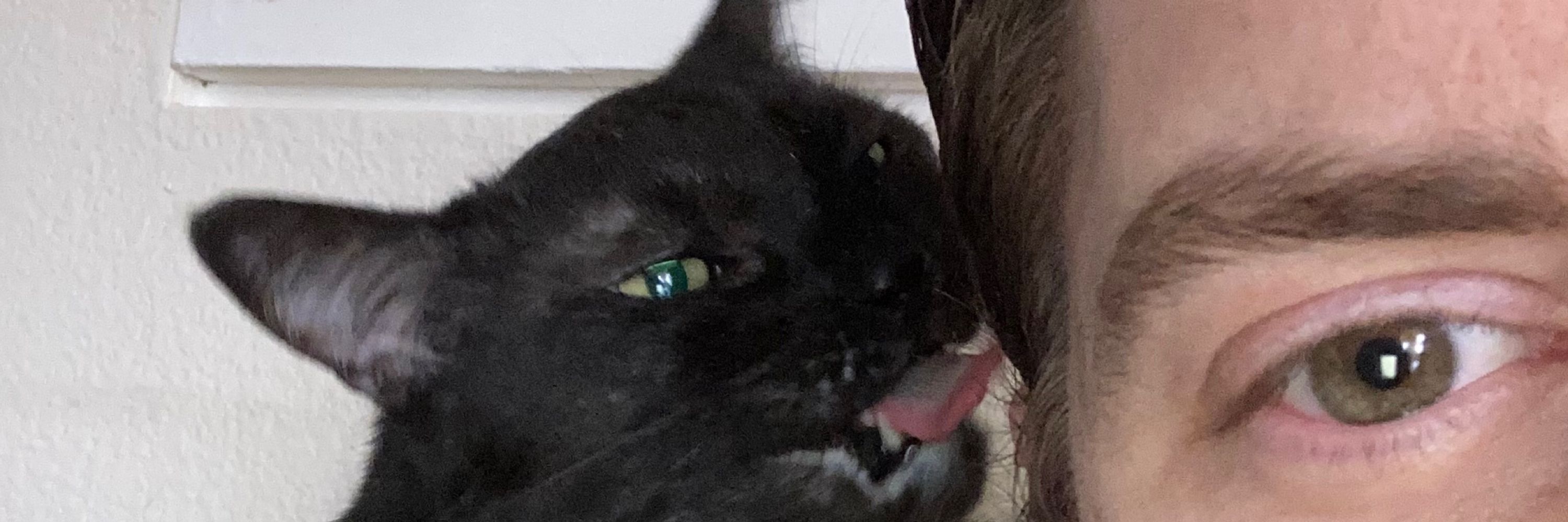 Jojoferret