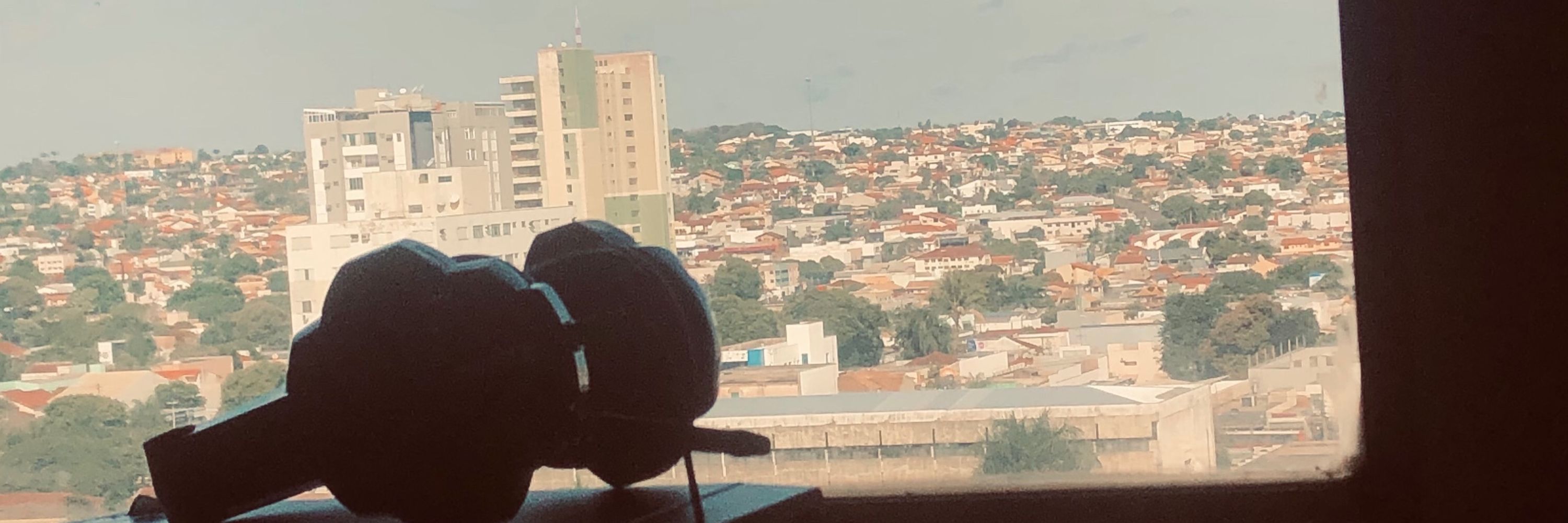 Viado