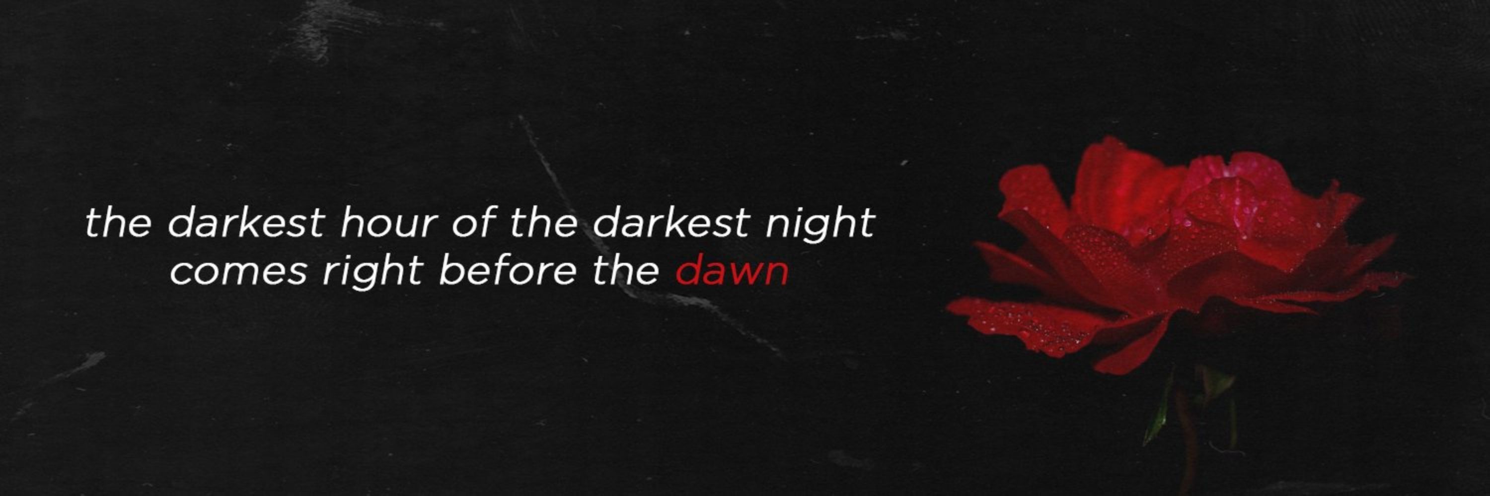 aria 🥀