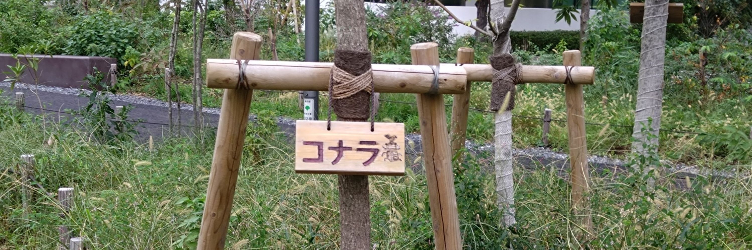 ぁすぉ