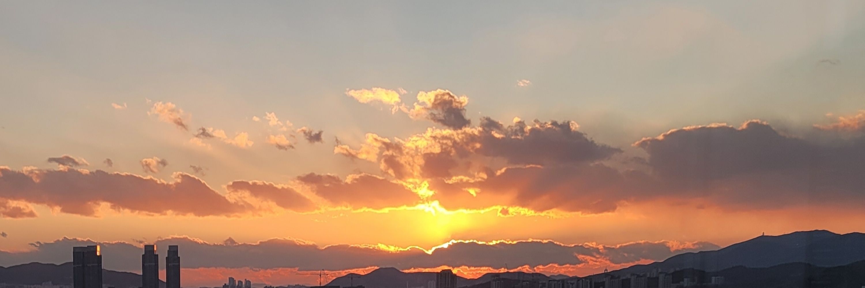 인삼