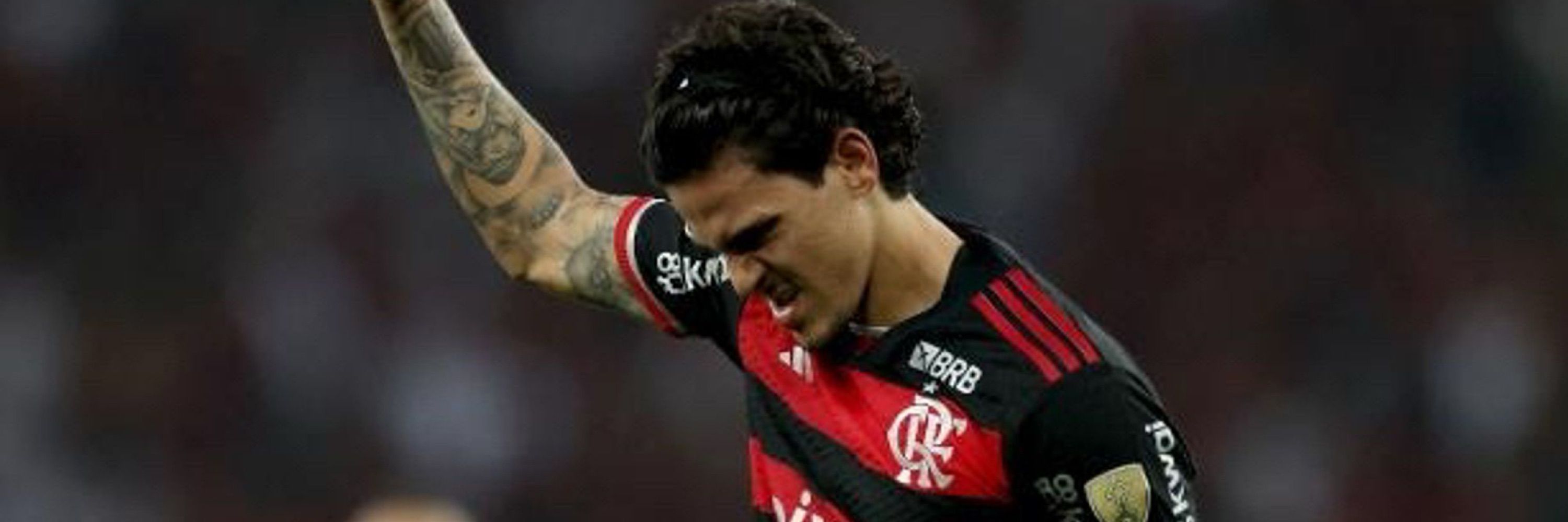 Leo Joca