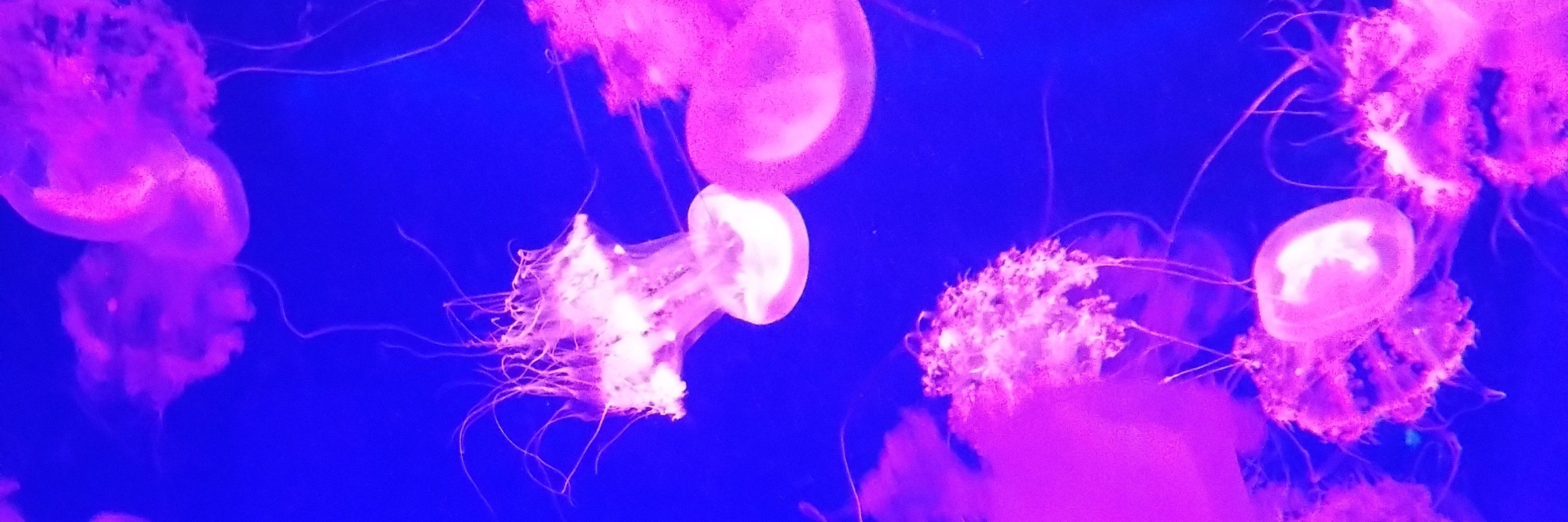こはる☆