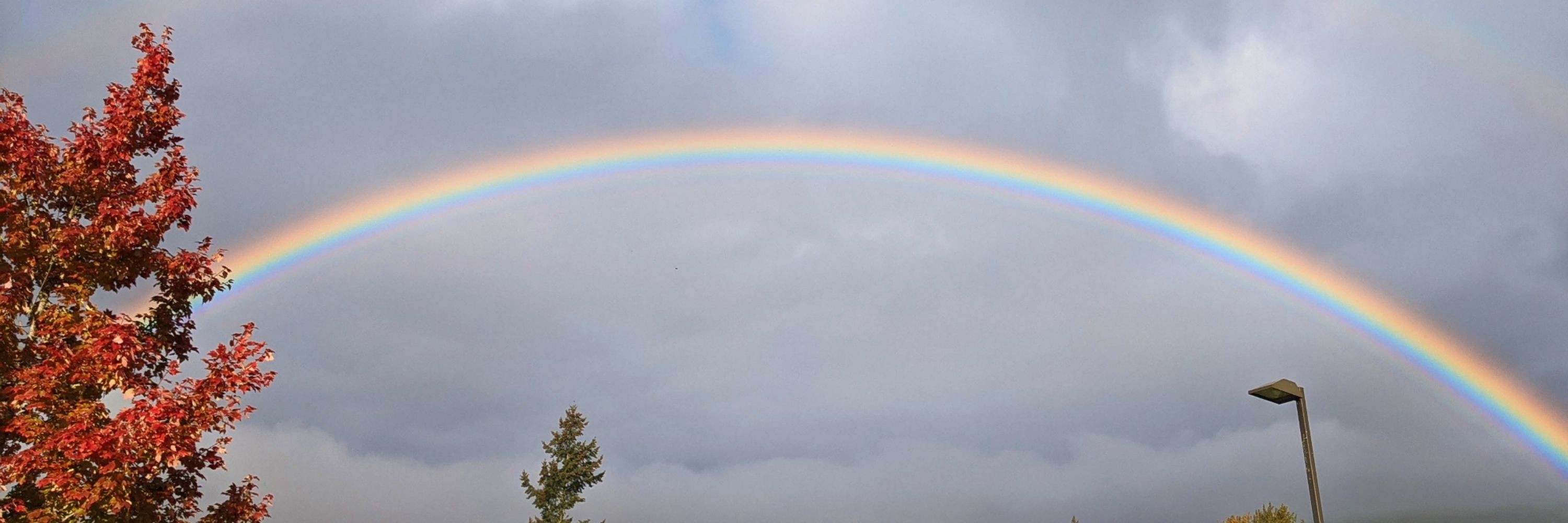 RainbowToo