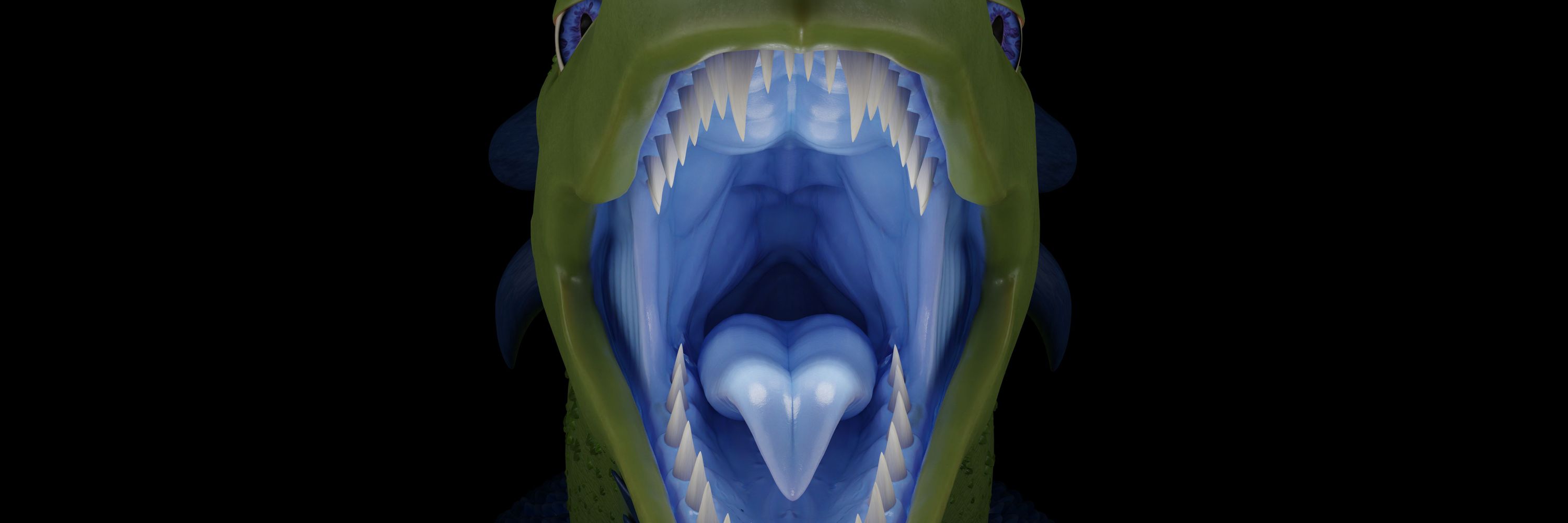 Casi3DAnimations