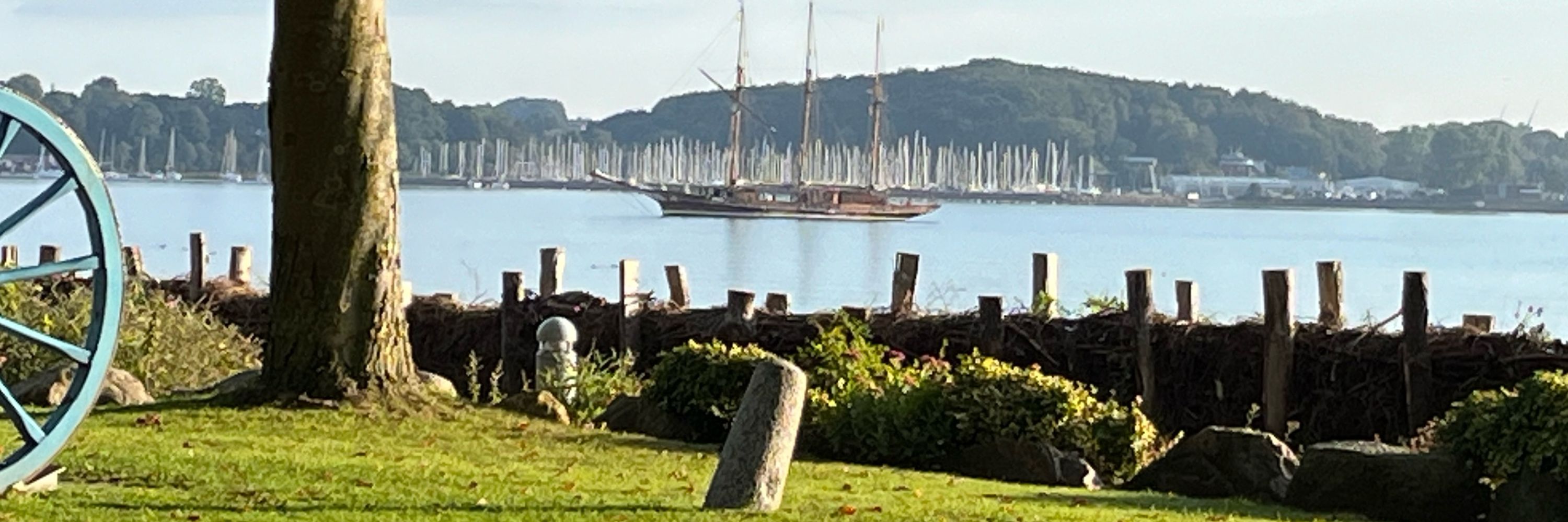 Ostseebärchen