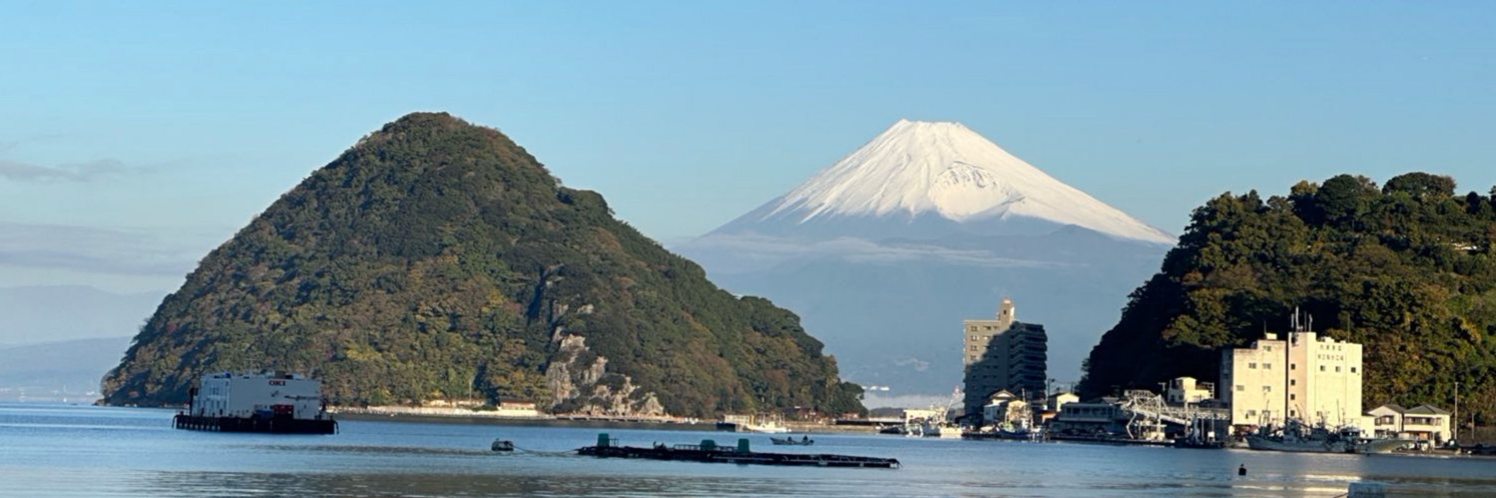 てんしまちえり